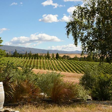 Bed and Breakfast Grey Ridge Vineyard Experience Alexandra Exterior foto