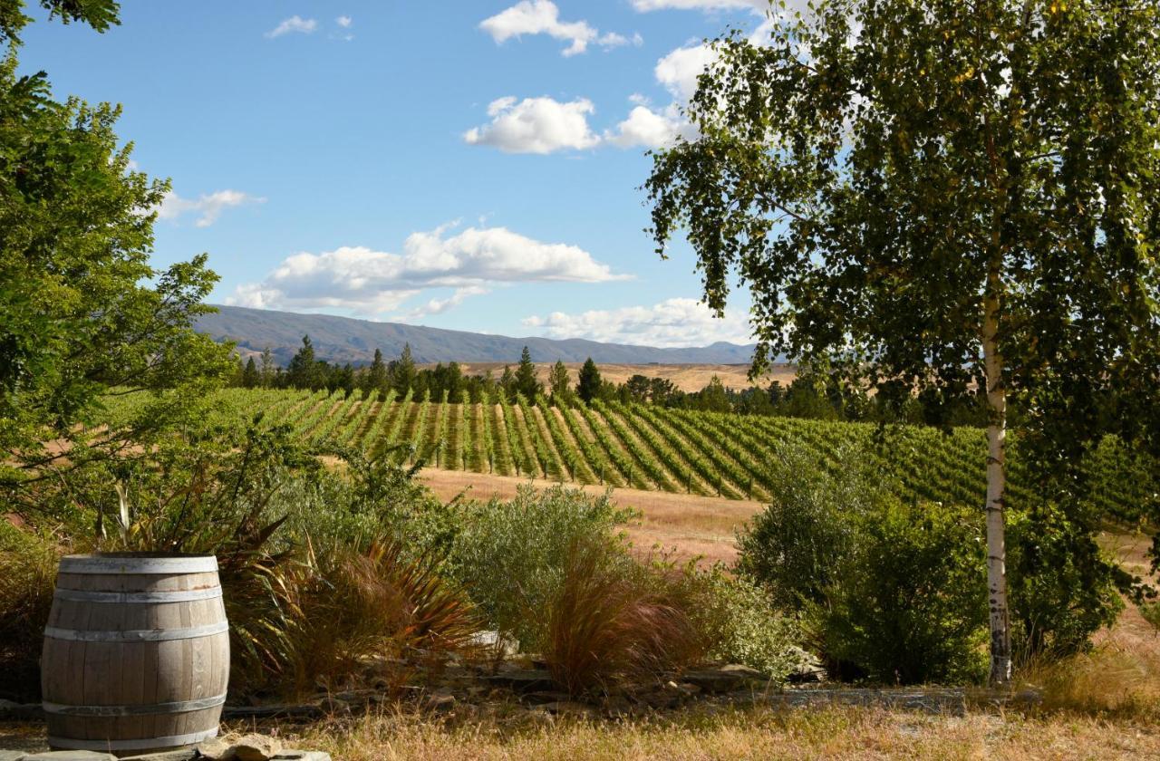 Bed and Breakfast Grey Ridge Vineyard Experience Alexandra Exterior foto