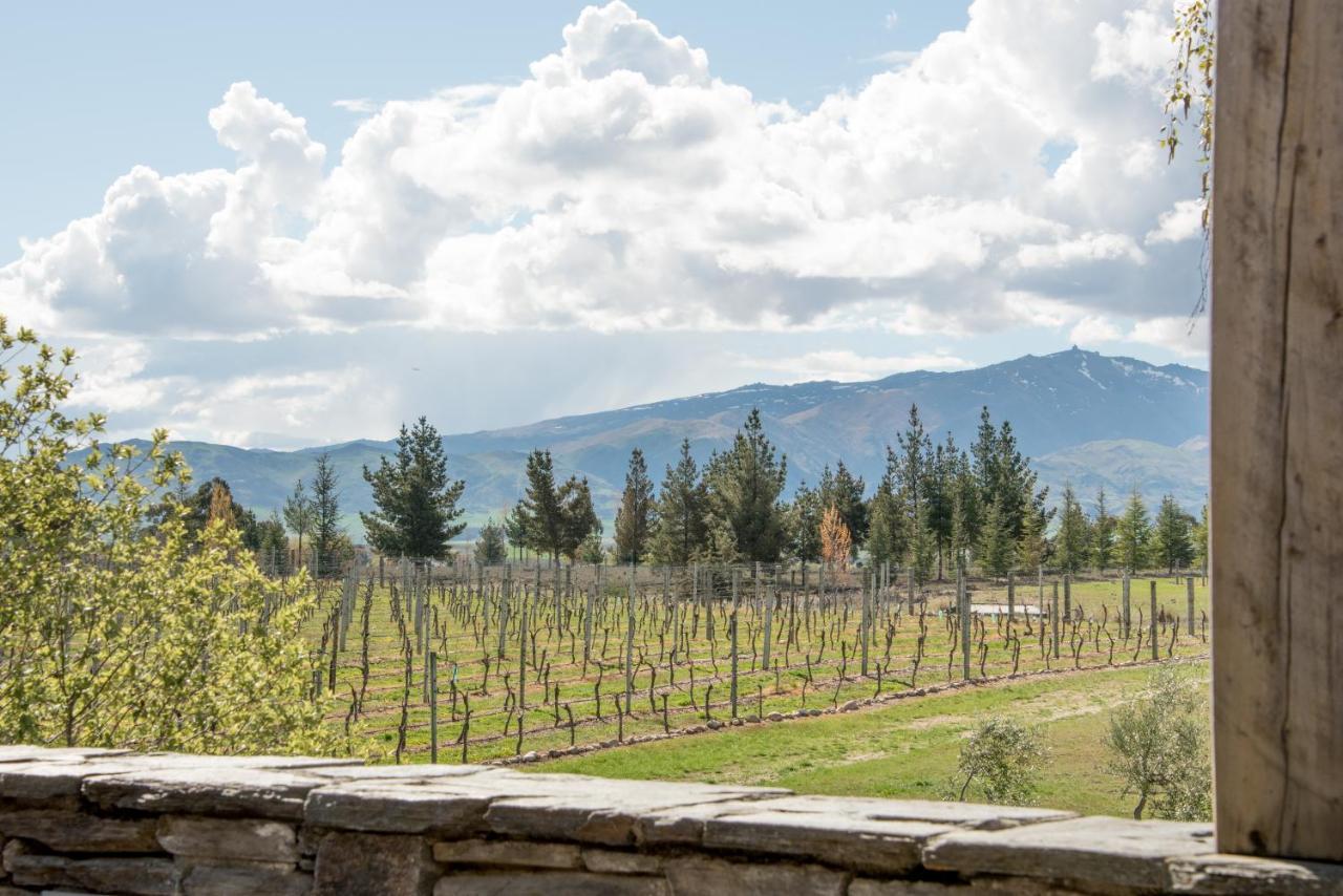 Bed and Breakfast Grey Ridge Vineyard Experience Alexandra Exterior foto